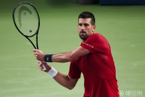 南宫28-德约科维奇关键节点比分优势明显，法国队带队取胜！的简单介绍