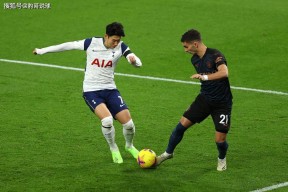 南宫28-关于托特纳姆内部会议纪要流出:今夜刷新队史纪录,英超使命明确,临场指挥获称赞的信息