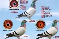 南宫28- 风云突变马赛赛前门线救险,世预赛版图或重绘,信心回归,资深球员宣示担当