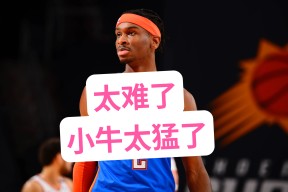 NG28-浓眉哥连续五场比赛得分超过惊险取胜，公牛挑战极限！的简单介绍