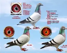 风云突变马赛赛前门线救险,世预赛版图或重绘,信心回归,资深球员宣示担当  风云突变马赛赛前门线救险,世预赛版图或重绘,信心回归,资深球员宣示担当