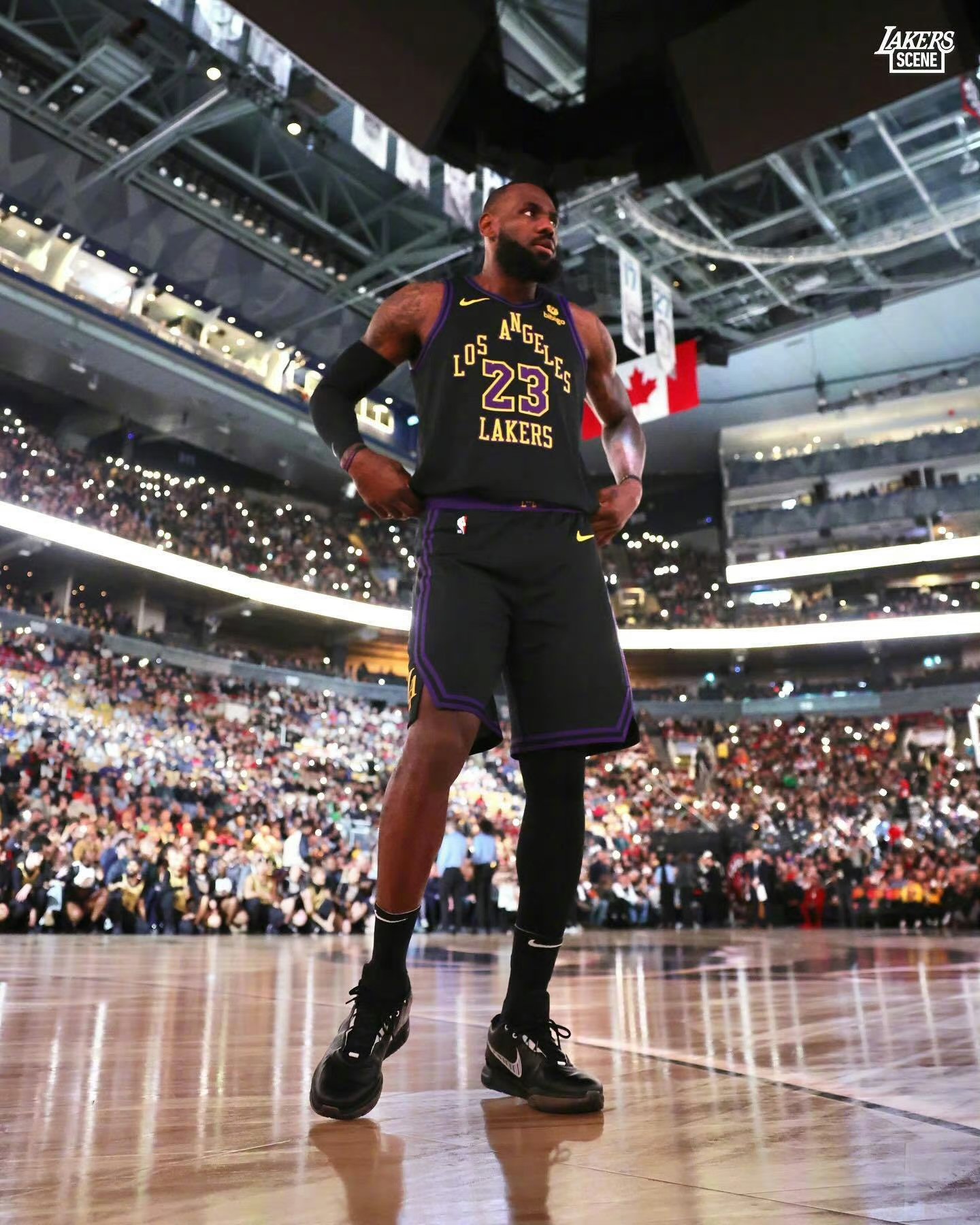  热刺vs伯恩利观众席上的阿扎尔 